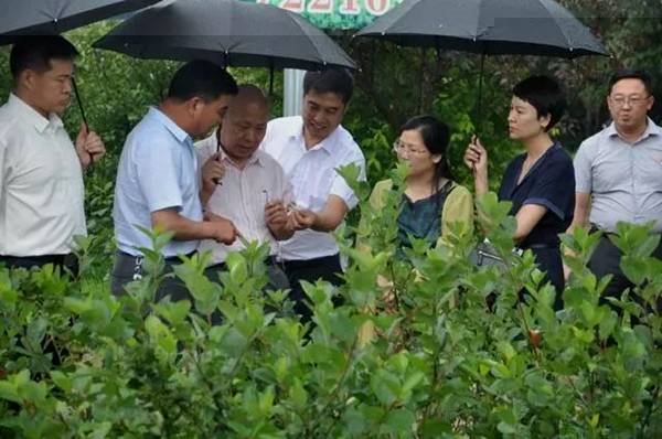 http://portal.zcmu.edu.cn/UserFiles/Image/153197716508412240.jpeg
